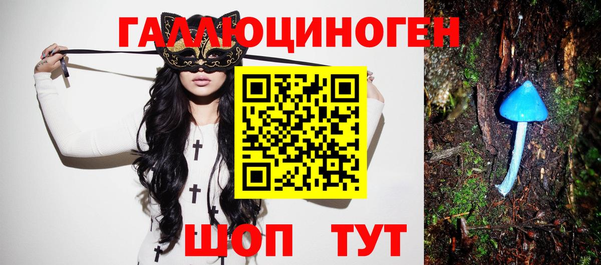 продажа наркотиков  Галлюциногенные грибы Magic Shrooms  Псилоцибиновые грибы MAGIC MUSHROOMS  Вход с VPN  Орск 